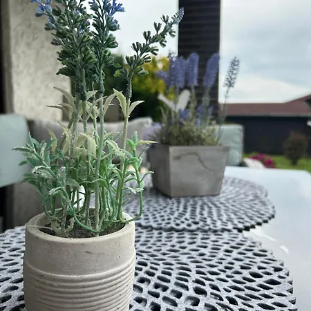 度假居 Waldschloesschen Wattenbach